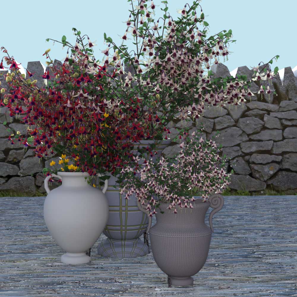 Fuchsia Pots